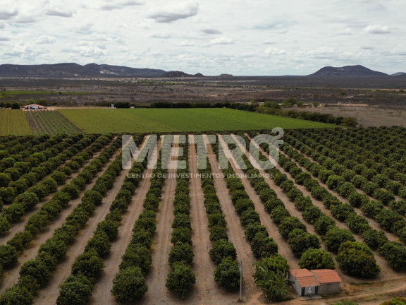 Imagem Fazenda à Venda, em área Rual - Petrolina Imagem Fazenda à Venda, em área Rual - Petrolina