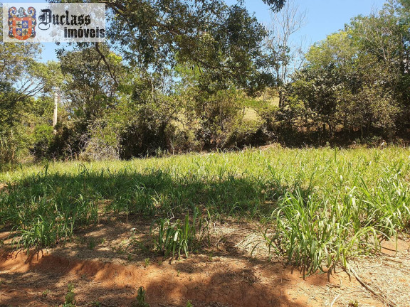 Imagem Chácara com 6 Quartos à Venda, 25.400 m² em Zona Rural - Cambuí Imagem Chácara com 6 Quartos à Venda, 25.400 m² em Zona Rural - Cambuí