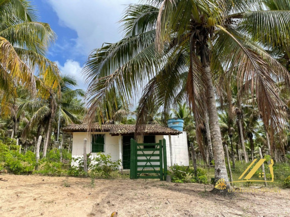 Imagem Imóvel com 5 Quartos à Venda, 700 m² em Costa Do Sauípe - Mata De São João