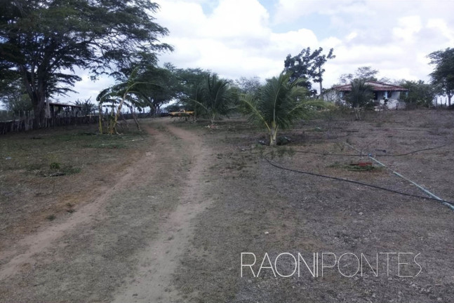 Imagem Fazenda à Venda, 1.710.000 m² em Zona Rural - São Pedro