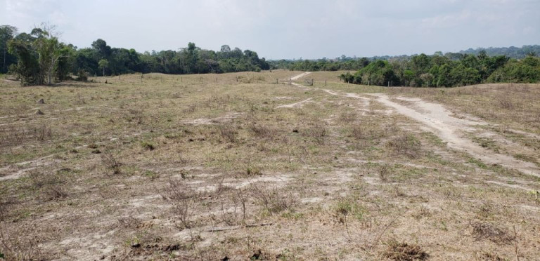 Imagem Imóvel com 5 Quartos à Venda, 4.017.000 m² em Zona Rural