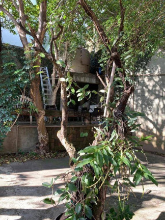 Imagem Casa com 3 Quartos à Venda, 300 m² em Parque São Domingos - São Paulo Imagem Casa com 3 Quartos à Venda, 300 m² em Parque São Domingos - São Paulo