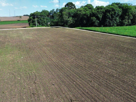 Imagem Fazenda à Venda, 19.400 m² em Tranqueira - Almirante Tamandare Imagem Fazenda à Venda, 19.400 m² em Tranqueira - Almirante Tamandare