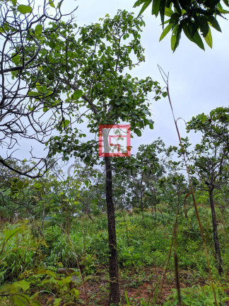 Imagem Imóvel com 3 Quartos à Venda,  em Zona Rural - Montes Claros