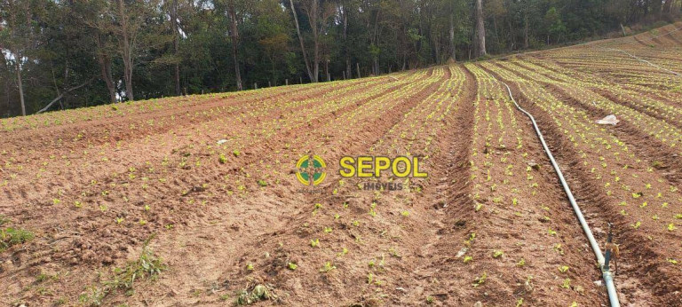 Imagem Terreno à Venda, 19.000 m² em Jardim Do Pinhal - Pinhalzinho Imagem Terreno à Venda, 19.000 m² em Jardim Do Pinhal - Pinhalzinho