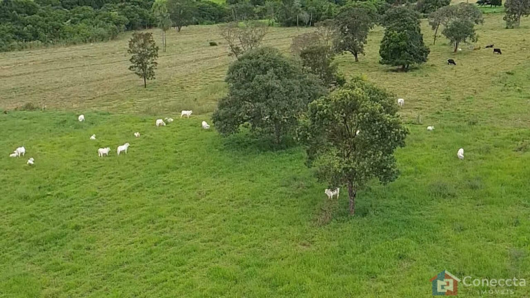 Imagem Imóvel à Venda, 48.400 m² em Centro - Prata