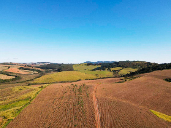 Imagem Fazenda à Venda, 895.000 m² em Centro - Andradas