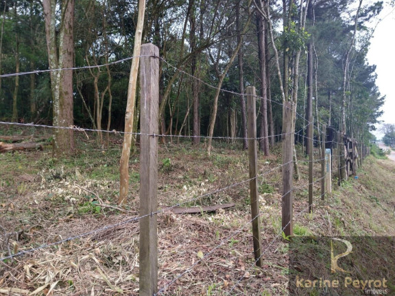 Imagem Terreno à Venda, 300 m² em Campestre - São Leopoldo Imagem Terreno à Venda, 300 m² em Campestre - São Leopoldo