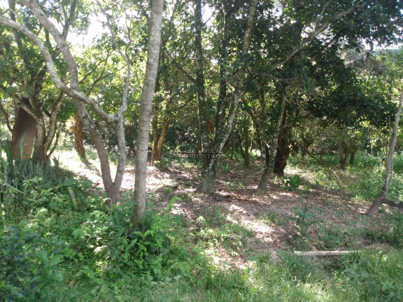Imagem Imóvel com 6 Quartos à Venda, em São Marcos - Bofete Imagem Imóvel com 6 Quartos à Venda, em São Marcos - Bofete