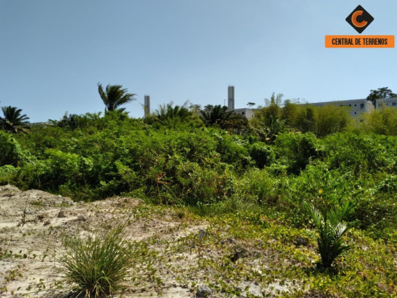 Imagem Terreno à Venda, 20.000 m² em Caji - Lauro De Freitas Imagem Terreno à Venda, 20.000 m² em Caji - Lauro De Freitas