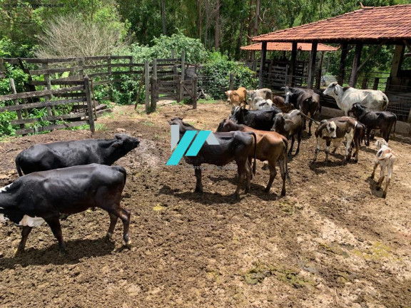 Imagem Fazenda à Venda, 30 m² em Azurita - Mateus Leme Imagem Fazenda à Venda, 30 m² em Azurita - Mateus Leme