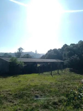 Imagem Imóvel com 7 Quartos à Venda, 32.000 m² em Centro - Tijucas Do Sul