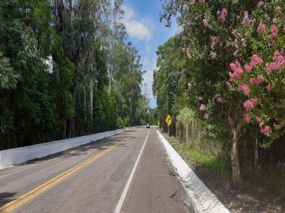 Imagem Terreno à Venda, 110 m² em Fazenda Pirajá - Nova Petrópolis