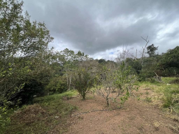 Imagem Terreno à Venda,  em Taboleiro Verde - Cotia