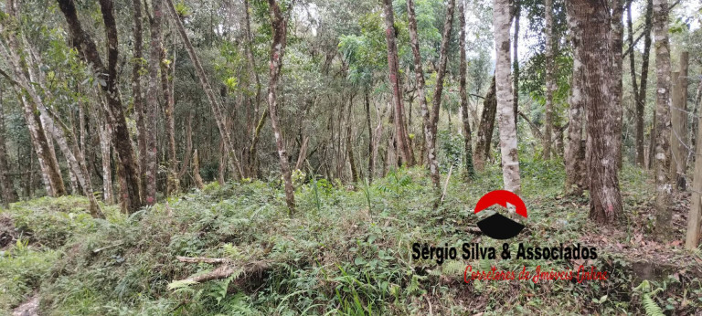 Terreno à Venda,  em Campos Do Jordão