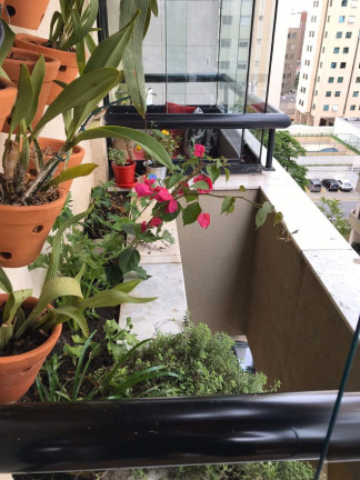 Imagem Imóvel com 1 Quarto à Venda, 44 m² em Indianópolis - São Paulo Imagem Imóvel com 1 Quarto à Venda, 44 m² em Indianópolis - São Paulo