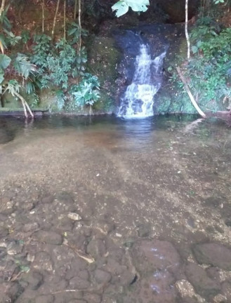 Imagem Fazenda à Venda, 726.000 m² em Tomba - Feira De Santana Imagem Fazenda à Venda, 726.000 m² em Tomba - Feira De Santana