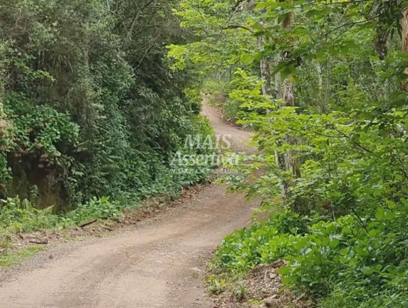 Imagem Imóvel à Venda, 50 m² em Centro - São Francisco De Paula Imagem Imóvel à Venda, 50 m² em Centro - São Francisco De Paula