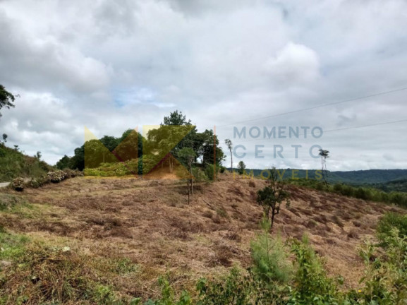 Imagem Fazenda à Venda, 64.288 m² em Barra Avencal - Rio Dos Cedros Imagem Fazenda à Venda, 64.288 m² em Barra Avencal - Rio Dos Cedros