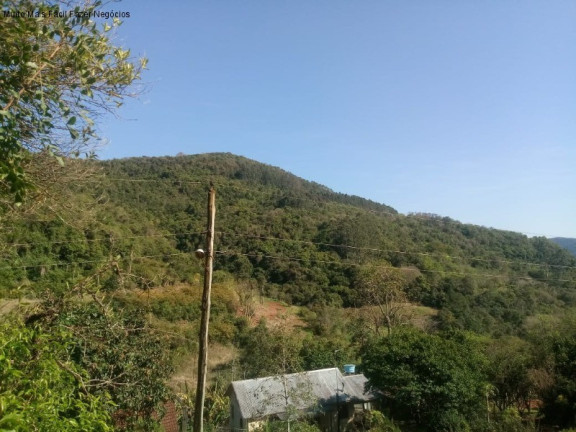 Imagem Terreno à Venda, 7.000 m² em Linha Temerária - Nova Petrópolis