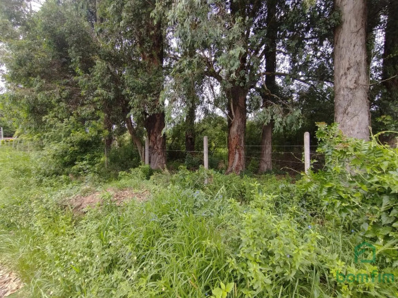 Imagem Terreno para Alugar, 2.500 m² em Ponta Grossa - Porto Alegre Imagem Terreno para Alugar, 2.500 m² em Ponta Grossa - Porto Alegre