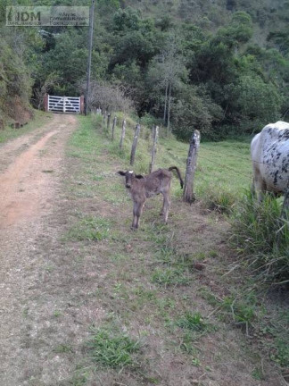 Imagem Chácara à Venda, em São Francisco Xavier - São José Dos Campos Imagem Chácara à Venda, em São Francisco Xavier - São José Dos Campos