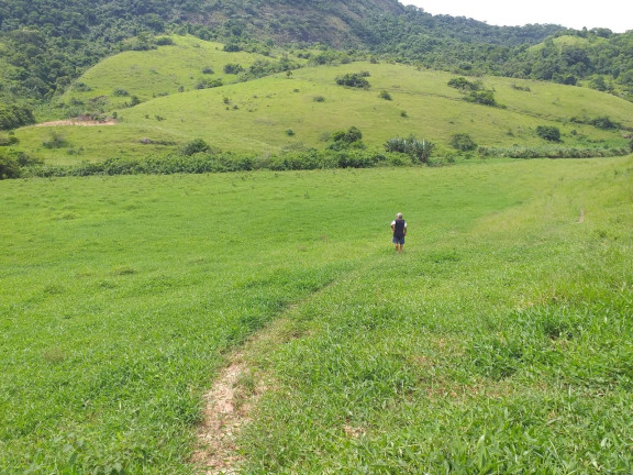 Imagem Fazenda à Venda, 1.930.000 m² em Centro - Trajano De Morais