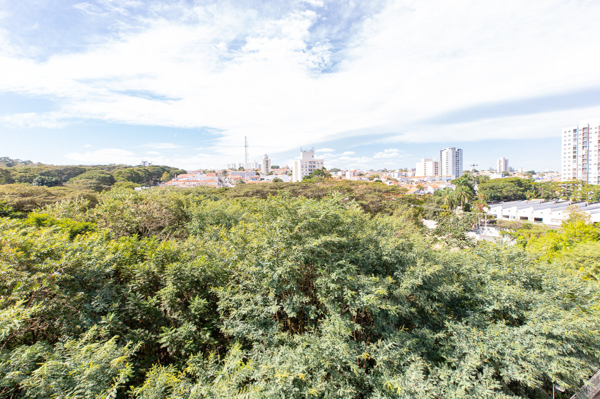 Imagem Apartamento com 3 Quartos à Venda, 81 m² em Jardim Marajoara - São Paulo Imagem Apartamento com 3 Quartos à Venda, 81 m² em Jardim Marajoara - São Paulo