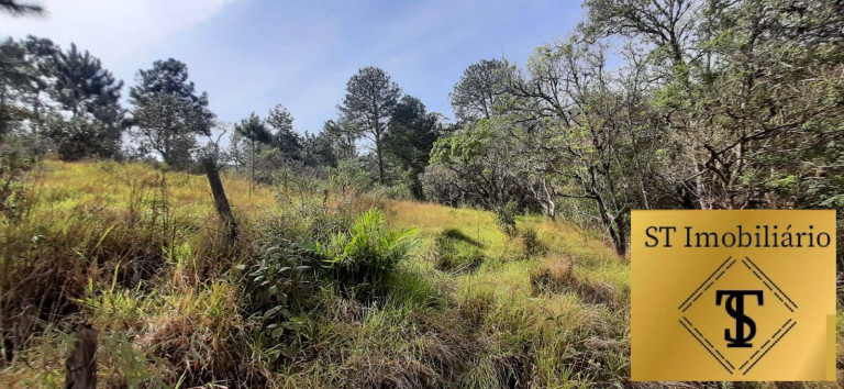 Imagem Chácara com 3 Quartos à Venda, 72.000 m² em Estância Santa Maria Do Portão - Atibaia Imagem Chácara com 3 Quartos à Venda, 72.000 m² em Estância Santa Maria Do Portão - Atibaia