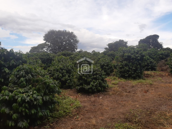 Imagem Imóvel à Venda, 30.000 m² em Conceição (rural) - Palmeiral Imagem Imóvel à Venda, 30.000 m² em Conceição (rural) - Palmeiral