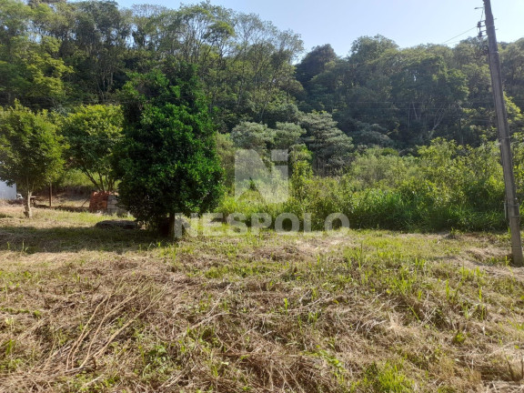 Imagem Fazenda à Venda, 130 m² em Interior - Chapeco