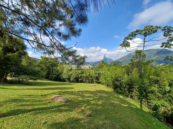Imagem Imóvel com 4 Quartos à Venda, 10.920 m² em Granja Guarani - Teresópolis