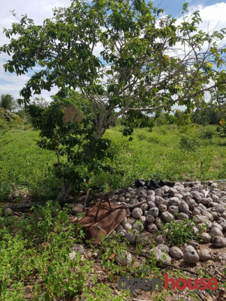 Imagem Chácara com 4 Quartos à Venda, 130 m² em Zona Rural - Ceará-mirim