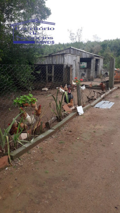 Imagem Imóvel com 3 Quartos à Venda, 120 m² em Cerro Chato - Sentinela Do Sul