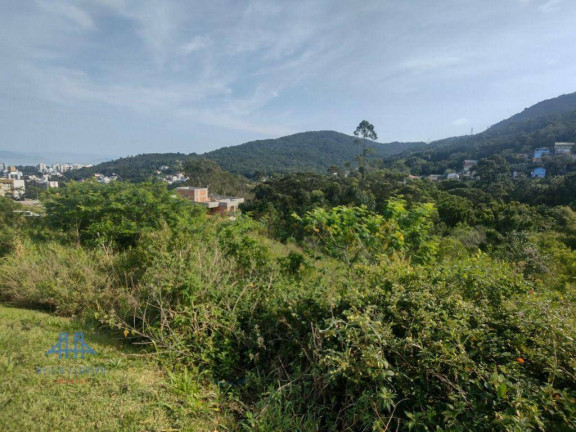 Imagem Terreno à Venda, 435 m² em Itacorubi - Florianópolis