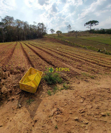 Terreno à Venda, 19.000 m² em Jardim Do Pinhal - Pinhalzinho