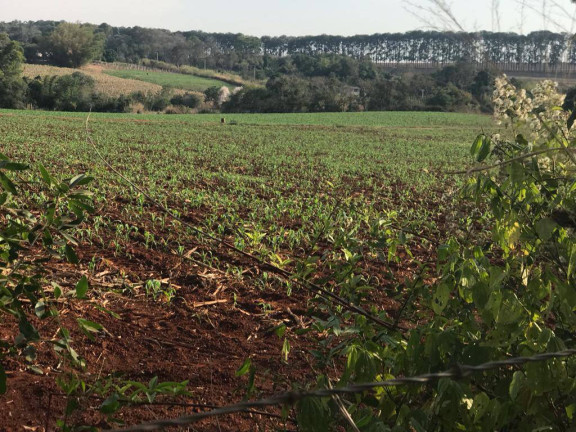 Imagem Terreno à Venda, 253.072 m² em Zona Rural - Araçoiaba Da Serra Imagem Terreno à Venda, 253.072 m² em Zona Rural - Araçoiaba Da Serra