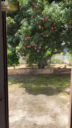 Imagem Casa com 2 Quartos à Venda, 120 m² em Praia Do Gavião - Araruama Imagem Casa com 2 Quartos à Venda, 120 m² em Praia Do Gavião - Araruama