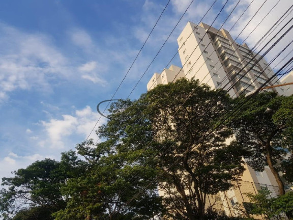 Imagem Imóvel com 4 Quartos à Venda, 125 m² em Vila Guilherme - São Paulo Imagem Imóvel com 4 Quartos à Venda, 125 m² em Vila Guilherme - São Paulo