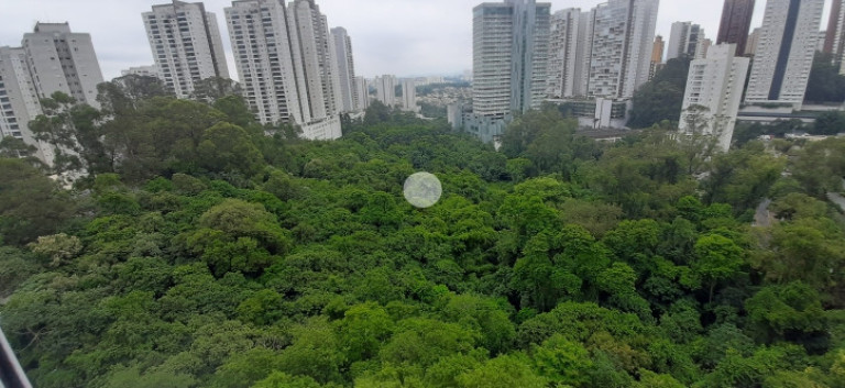 Imagem Apartamento com 2 Quartos para Alugar, 56 m² em Vila Andrade - São Paulo