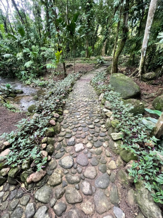 Imagem Imóvel com 5 Quartos à Venda, 20.000 m² em Maresias - São Sebastião