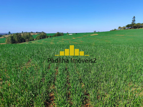 Imagem Fazenda à Venda, 136 m² em Capão Bonito