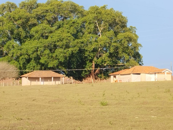 Imagem Fazenda à Venda, 726 m² em Vila Tazitsu - Presidente Prudente Imagem Fazenda à Venda, 726 m² em Vila Tazitsu - Presidente Prudente