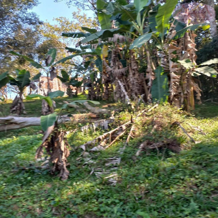 Imagem Imóvel com 6 Quartos à Venda, 54 m² em Bairro Oasis Paulista - Rio Grande Da Serra Imagem Imóvel com 6 Quartos à Venda, 54 m² em Bairro Oasis Paulista - Rio Grande Da Serra