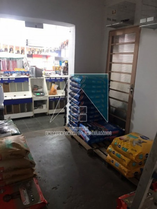 Imagem Casa com 3 Quartos à Venda, 204 m² em Geraldo Correia De Carvalho - Ribeirão Preto Imagem Casa com 3 Quartos à Venda, 204 m² em Geraldo Correia De Carvalho - Ribeirão Preto