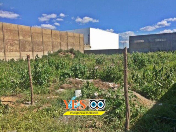 Imagem Terreno à Venda, 1.200 m² em Sim - Feira De Santana Imagem Terreno à Venda, 1.200 m² em Sim - Feira De Santana
