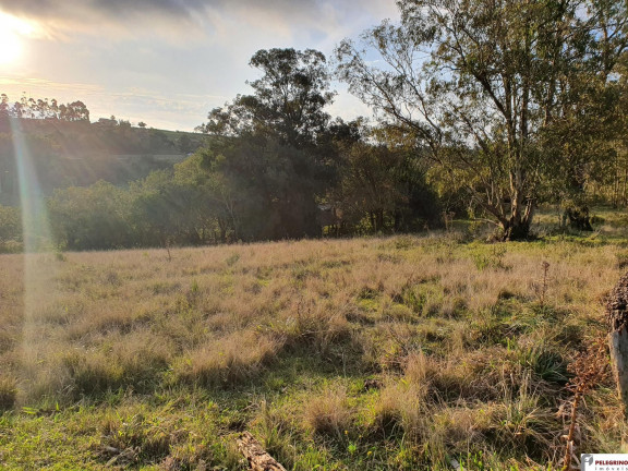 Imagem Imóvel com 3 Quartos à Venda, 120 m² em Zona Rural - Tapes Imagem Imóvel com 3 Quartos à Venda, 120 m² em Zona Rural - Tapes