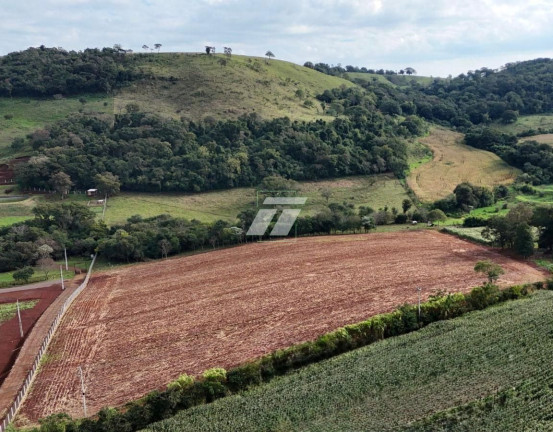 Imagem Fazenda à Venda,  em Cancelli - Cascavel