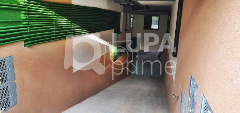 Imagem Apartamento com 2 Quartos à Venda, 44 m² em Vila Maria - São Paulo