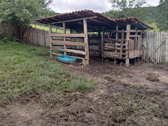 Imagem Chácara com 2 Quartos à Venda, 250 m² em Espírito Santo - Paraibuna Imagem Chácara com 2 Quartos à Venda, 250 m² em Espírito Santo - Paraibuna
